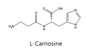 肌肽-化妆品中的应用