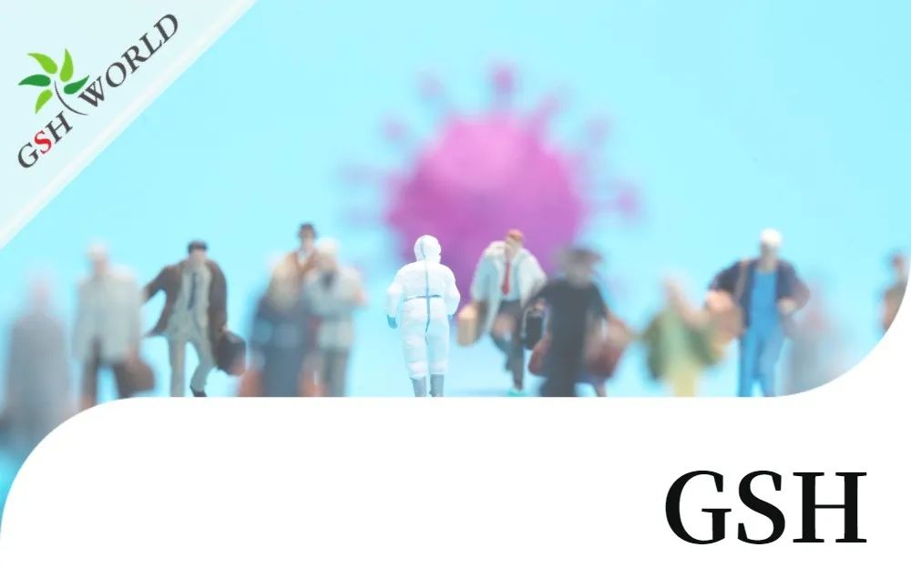 行业关注 - 增强 GSH 可能是对抗新冠疾病的有效疗法