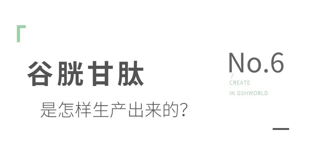 谷胱甘肽是如何生产的？