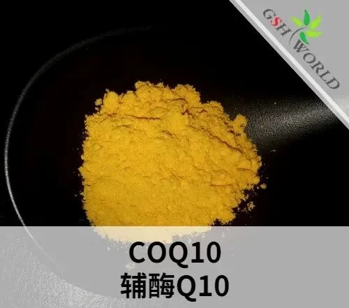 辅酶Q10原料的概述和应用
