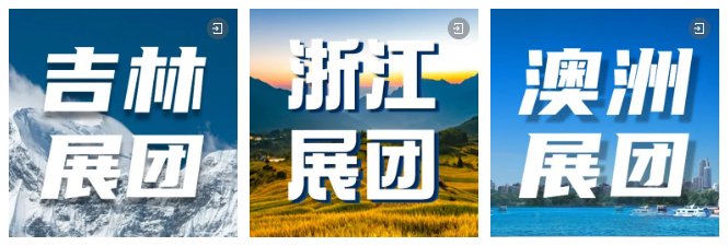 海内外展团集体亮相