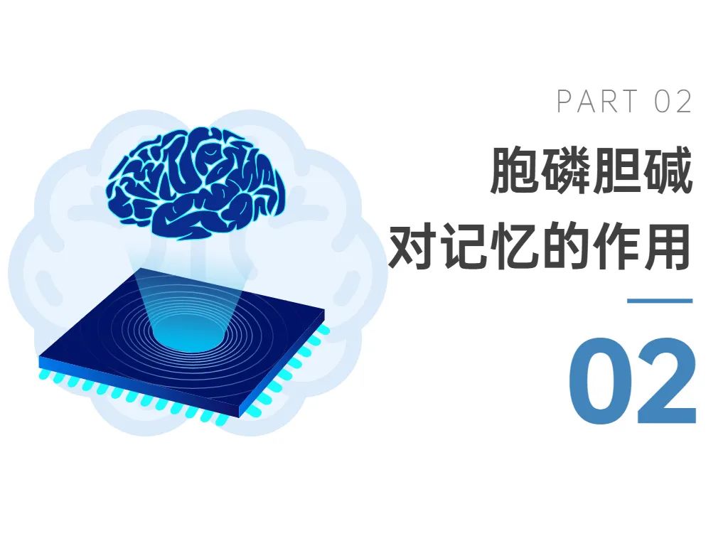 胞磷胆碱钠改善认知功能