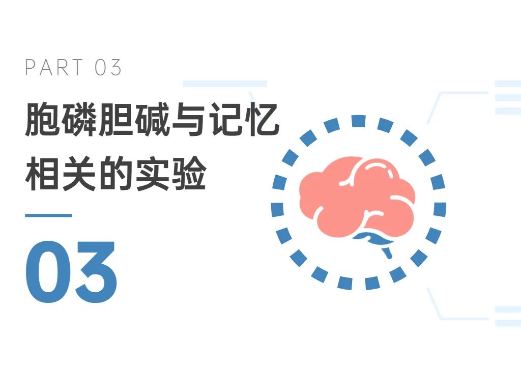 03胞磷胆碱与记忆相关的实验
