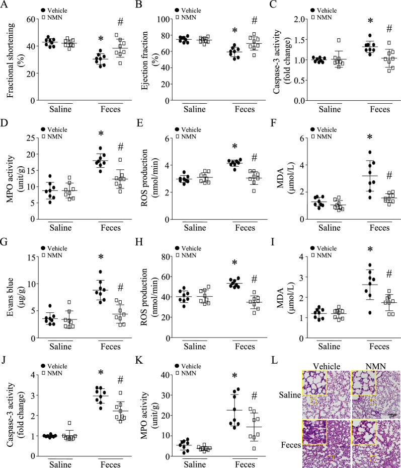 包含图片、插图等的外部文件。
对象名称为 12967_2023_4767_Fig2_HTML.jpg