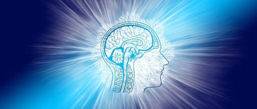 肌肉力量和身体机能的增强