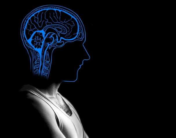 胞磷胆碱跟记忆的关系