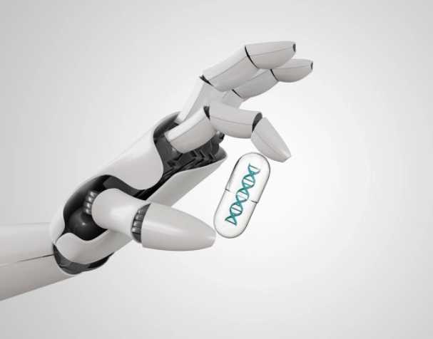 NMN对代谢的影响