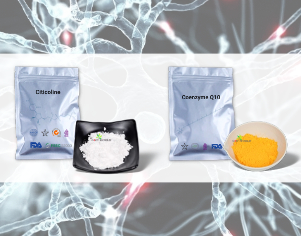 胞磷胆碱与辅酶Q10的神经保护机制