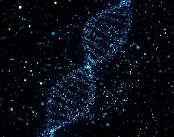 烟酰胺核糖氯化物有什么优势？