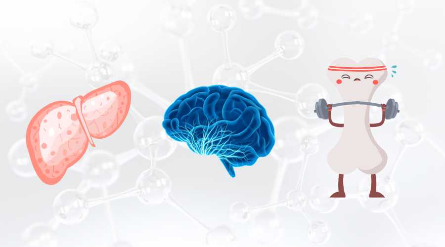 SAMe对肝脏健康的潜在益处