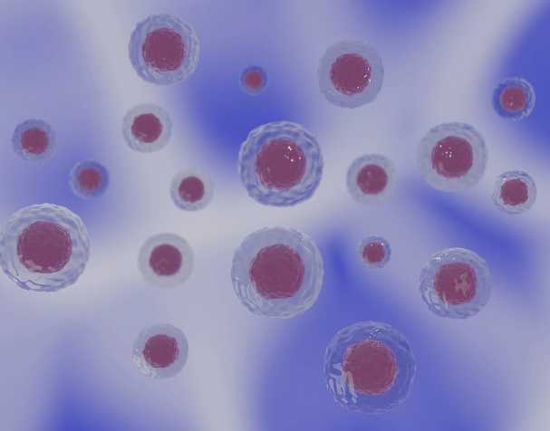 PQQ的结构与特性