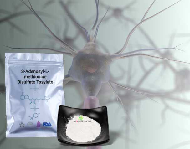 SAMe对神经健康的作用