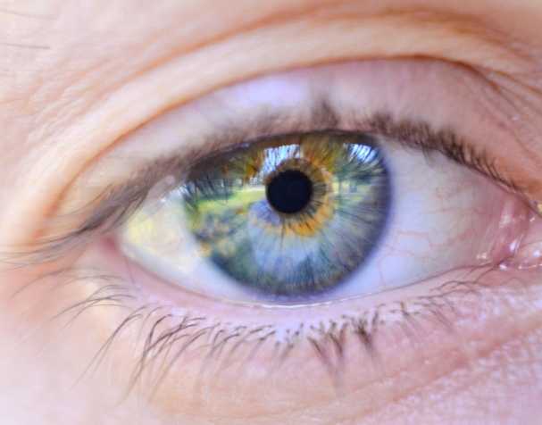 胞磷胆碱的作用机制