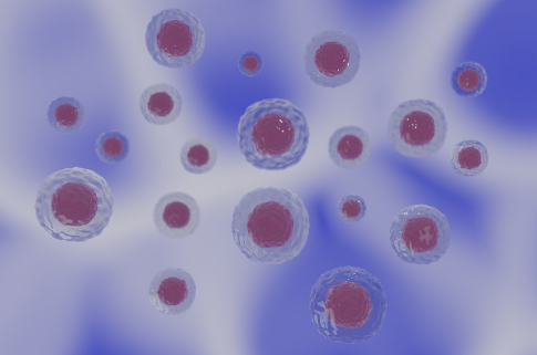 硫辛酸的独特作用与联合应用
