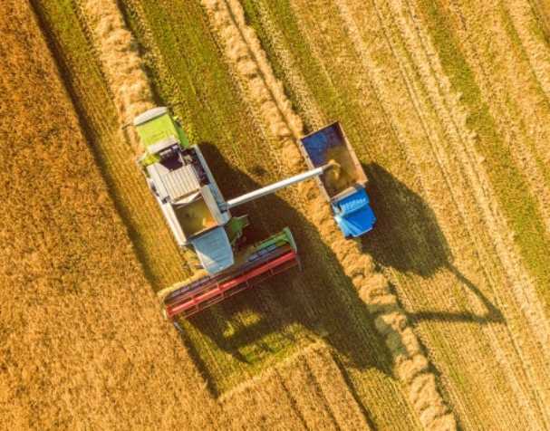 谷胱甘肽在多种非生物胁迫中的作用