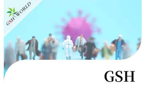 行业关注 - 增强 GSH 可能是对抗新冠疾病的有效疗法
