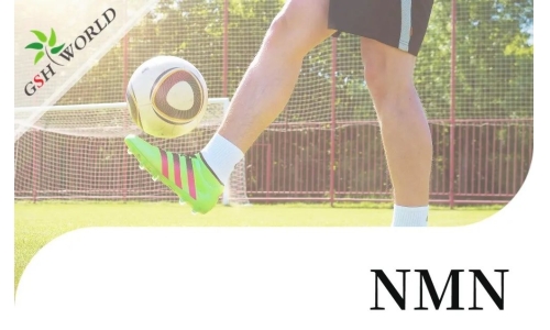 行业关注 - NMN对肌腱炎的抗氧化作用