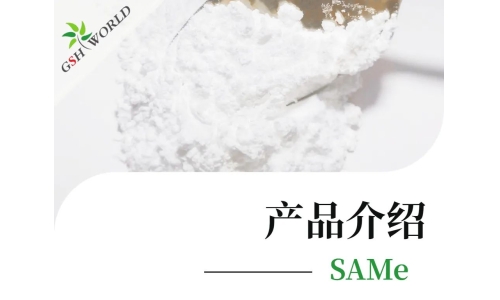 产品介绍 - SAMe——堪称全能的肝脏营养剂