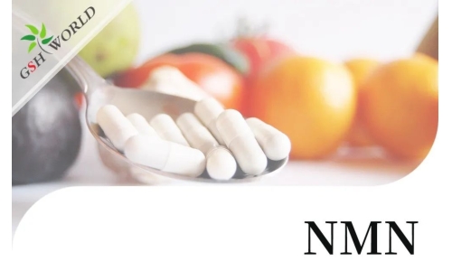 行业关注 - NMN潜在的抗衰老活性及其适用性