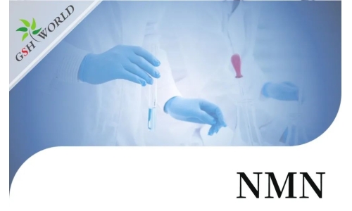 行业关注 - NMN的保健功能与最新研究进展
