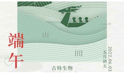 端午 - 争流而上，行舟踏浪