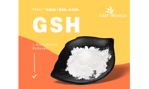 谷胱甘肽：一种多功能的抗氧化剂和解毒剂