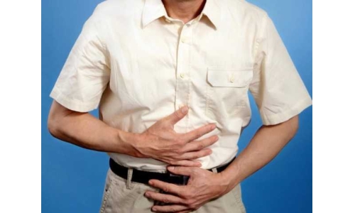 哪些成分对维护肠道健康有效？