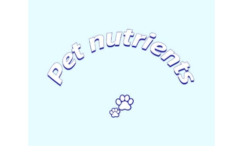 三种具有潜力的宠物营养素——PQQ、辅酶Q10以及S-腺苷甲硫氨酸