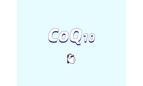 辅酶Q10在肥胖管理中的潜在作用