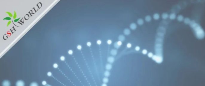 行业关注 - 胞磷胆碱保护大脑的7大好处