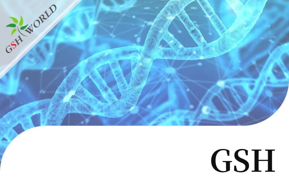 行业关注 - 谷胱甘肽结合几种不同抗癌化疗药物的生物学作用