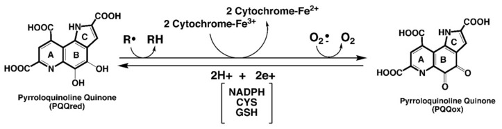 包含图片、插图等的外部文件。
对象名称为 biomolecules-11-01441-g001.jpg