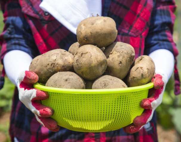 氧化型谷胱甘肽功能与作用