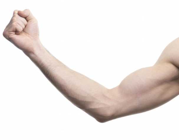 助肌肉功能维护