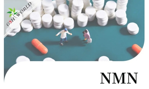 NMN(烟酰胺单核苷酸)的适用人群