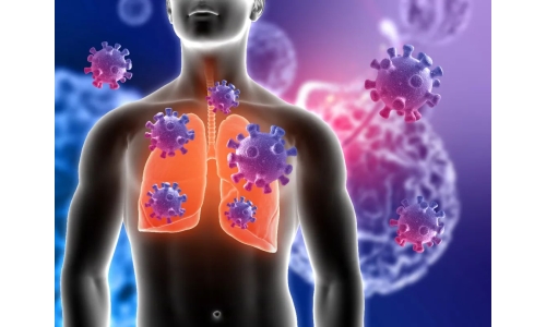 钟南山：6月底将迎来二阳高峰！危害更大？NMN能有效抵御“二阳”！