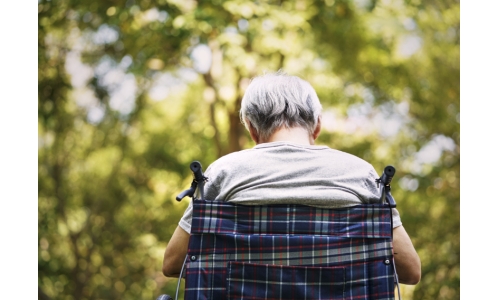 NMN对于老年人睡眠质量的影响