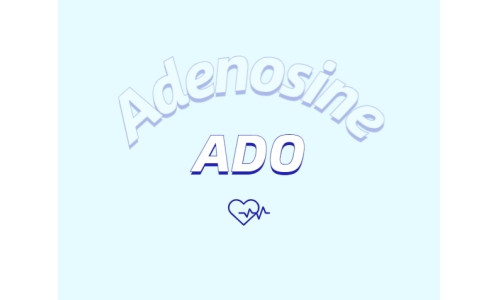 洗护用品中添加腺苷是否有防脱发功能？